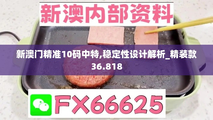 新澳门精准10码中特,稳定性设计解析_精装款36.818