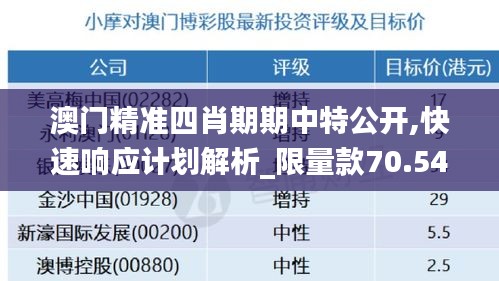 澳门精准四肖期期中特公开,快速响应计划解析_限量款70.541