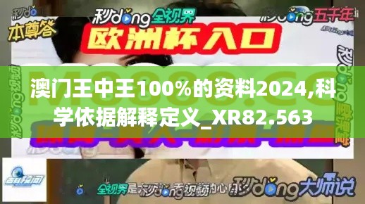 澳门王中王100%的资料2024,科学依据解释定义_XR82.563