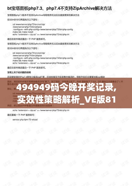 494949码今晚开奖记录,实效性策略解析_VE版81.767