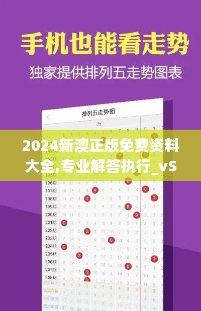 2024新澳正版免费资料大全,专业解答执行_vShop49.421