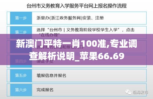 新澳门平特一肖100准,专业调查解析说明_苹果66.69