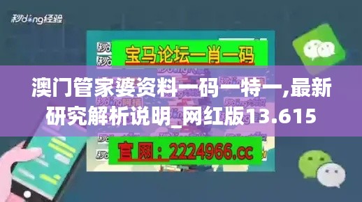 澳门管家婆资料一码一特一,最新研究解析说明_网红版13.615