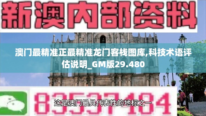 澳门最精准正最精准龙门客栈图库,科技术语评估说明_GM版29.480