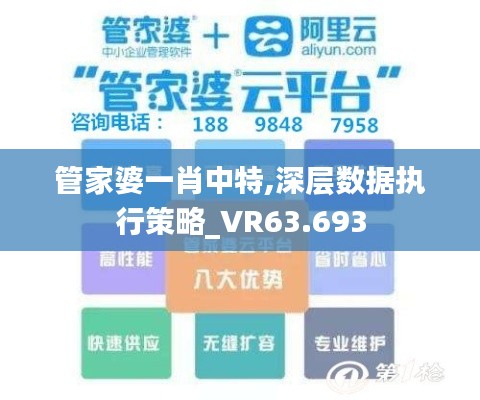 管家婆一肖中特,深层数据执行策略_VR63.693