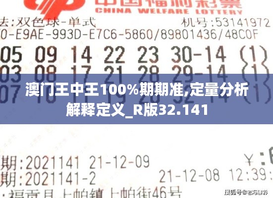 澳门王中王100%期期准,定量分析解释定义_R版32.141