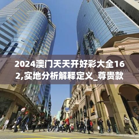 2024澳门天天开好彩大全162,实地分析解释定义_尊贵款46.367