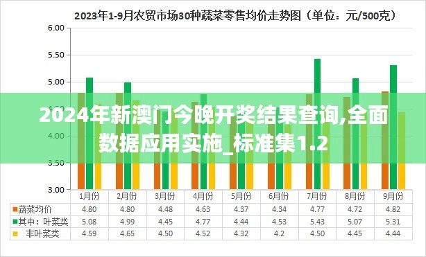 2024年新澳门今晚开奖结果查询,全面数据应用实施_标准集1.2