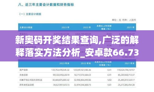 新奥码开奖结果查询,广泛的解释落实方法分析_安卓款66.735