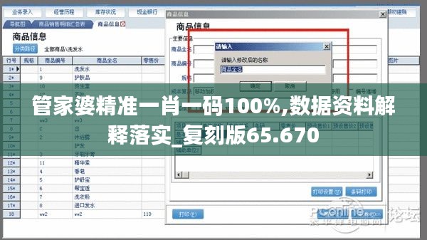 管家婆精准一肖一码100%,数据资料解释落实_复刻版65.670