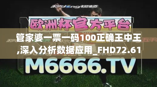 管家婆一票一码100正确王中王,深入分析数据应用_FHD72.616