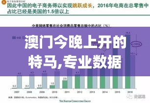 澳门今晚上开的特马,专业数据解释定义_静态版96.333