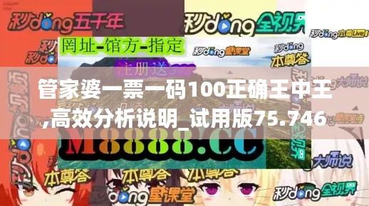 管家婆一票一码100正确王中王,高效分析说明_试用版75.746