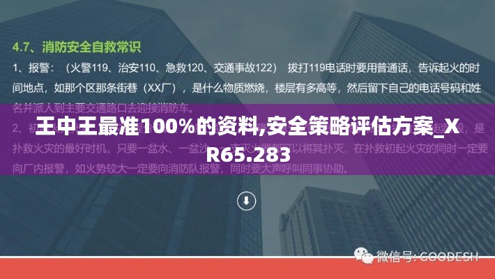 王中王最准100%的资料,安全策略评估方案_XR65.283