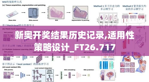 新奥开奖结果历史记录,适用性策略设计_FT26.717