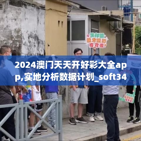 2024澳门天天开好彩大全app,实地分析数据计划_soft34.706