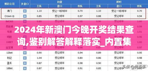 2024年新澳门今晚开奖结果查询,鉴别解答解释落实_内置集66.735