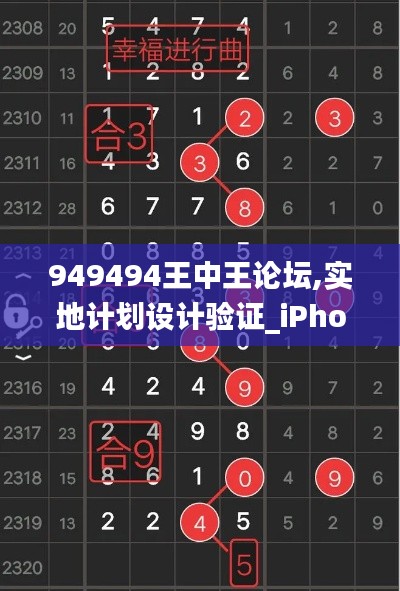 949494王中王论坛,实地计划设计验证_iPhone91.965