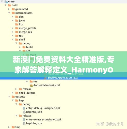 新澳门免费资料大全精准版,专家解答解释定义_HarmonyOS80.163