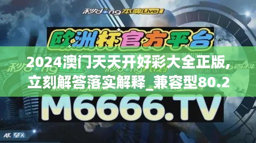 2024澳门天天开好彩大全正版,立刻解答落实解释_兼容型80.273