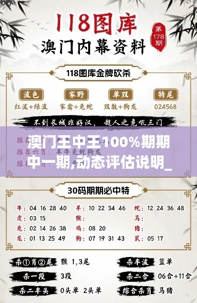 澳门王中王100%期期中一期,动态评估说明_5DM22.762