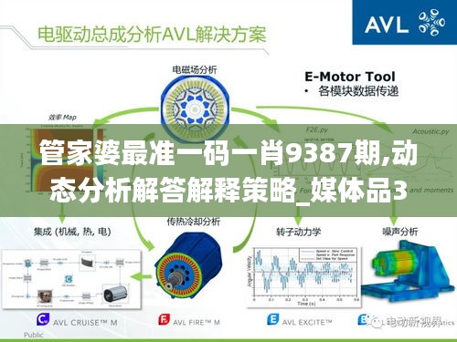 管家婆最准一码一肖9387期,动态分析解答解释策略_媒体品39.069