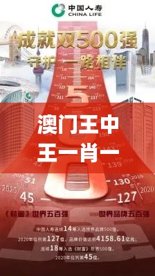 澳门王中王一肖一特一中,深度探讨解答解释现象_铂金集31.698