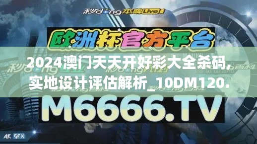 2024澳门天天开好彩大全杀码,实地设计评估解析_10DM120.924-2