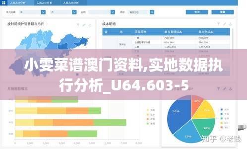 小雯菜谱澳门资料,实地数据执行分析_U64.603-5