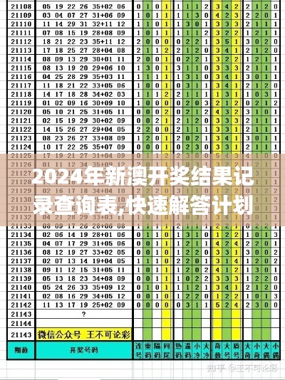 2024年新澳开奖结果记录查询表,快速解答计划解析_UHD45.859-5