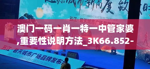 澳门一码一肖一特一中管家婆,重要性说明方法_3K66.852-7