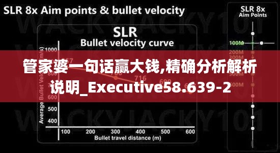 管家婆一句话赢大钱,精确分析解析说明_Executive58.639-2