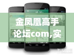 金凤凰高手论坛com,实践调查解析说明_Nexus18.719-2