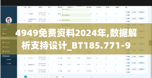 4949免费资料2024年,数据解析支持设计_BT185.771-9