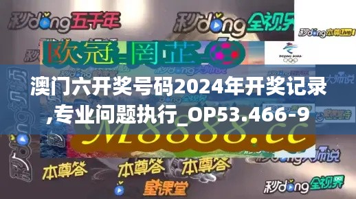 澳门六开奖号码2024年开奖记录,专业问题执行_OP53.466-9