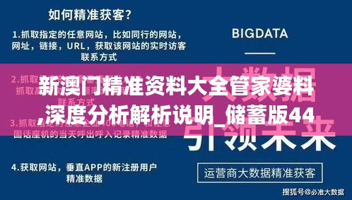 新澳门精准资料大全管家婆料,深度分析解析说明_储蓄版44.719-5