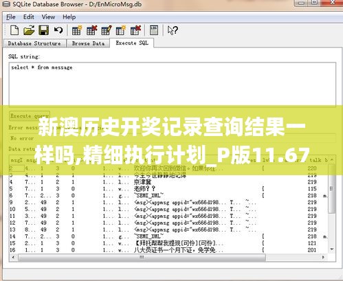 新澳历史开奖记录查询结果一样吗,精细执行计划_P版11.670-6