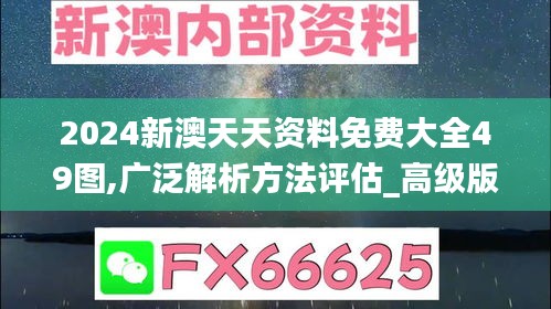 2024新澳天天资料免费大全49图,广泛解析方法评估_高级版91.377-4