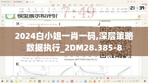 2024白小姐一肖一码,深层策略数据执行_2DM28.385-8