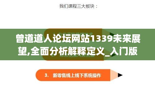 曾道道人论坛网站1339未来展望,全面分析解释定义_入门版14.181-8