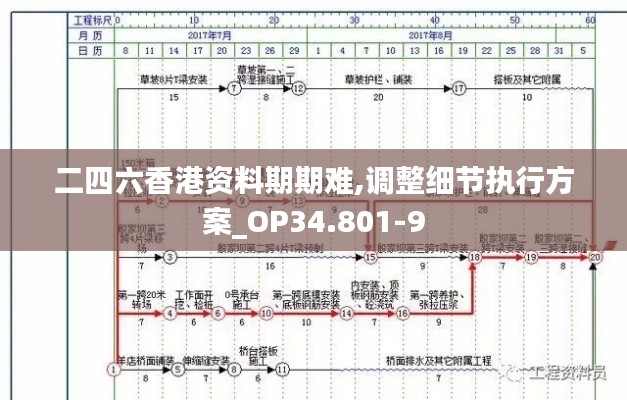 二四六香港资料期期难,调整细节执行方案_OP34.801-9