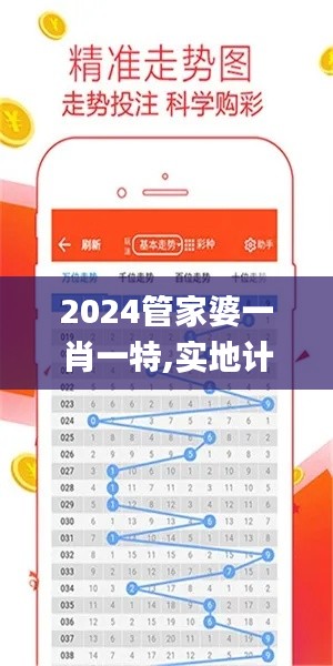 2024管家婆一肖一特,实地计划验证数据_专属版24.661-1