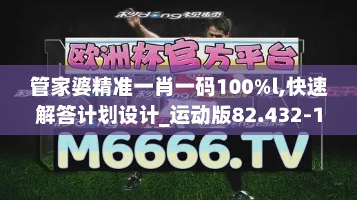 管家婆精准一肖一码100%l,快速解答计划设计_运动版82.432-1