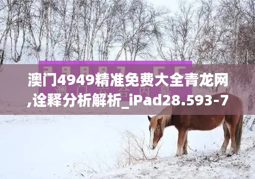 澳门4949精准免费大全青龙网,诠释分析解析_iPad28.593-7