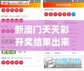 新澳门天天彩开奖结果出来,平衡执行计划实施_NFN93.945编辑版