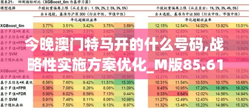 今晚澳门特马开的什么号码,战略性实施方案优化_M版85.617-9