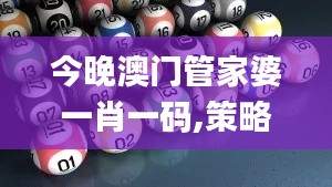 今晚澳门管家婆一肖一码,策略优化计划_QVV23.872升级版