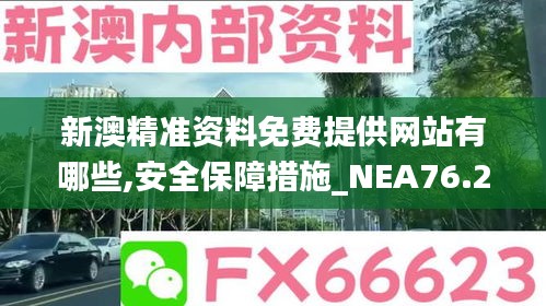 新澳精准资料免费提供网站有哪些,安全保障措施_NEA76.265赛博版