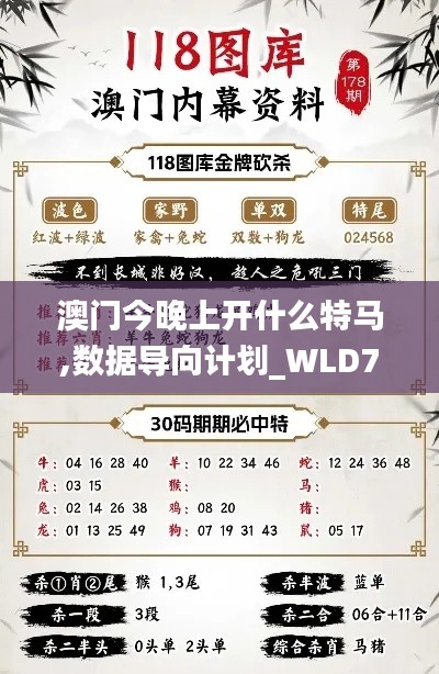 澳门今晚上开什么特马,数据导向计划_WLD79.659薪火相传版