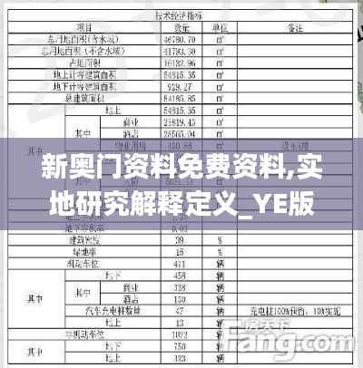 新奥门资料免费资料,实地研究解释定义_YE版58.493-9